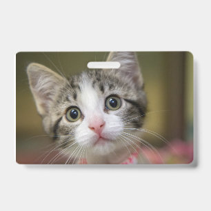 Badge Un chaton mignon avec des yeux verts