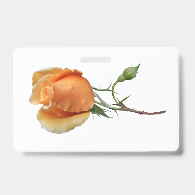 Badge Une seule bouture de rose     (Avant)