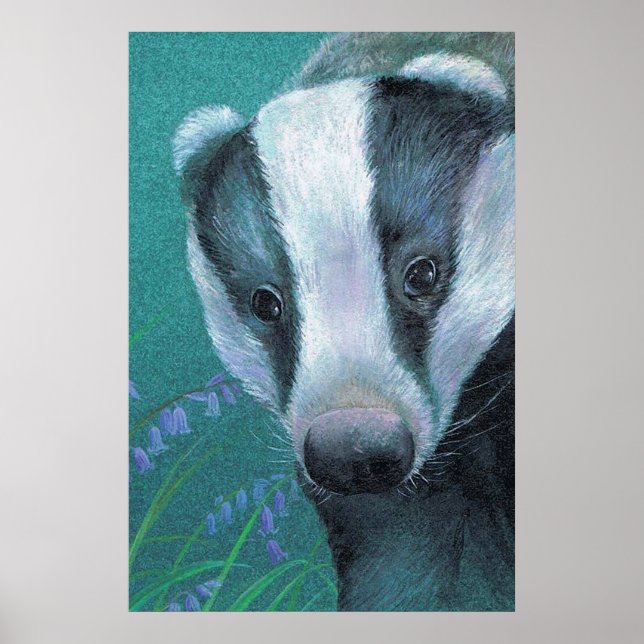 Badger dans le bluebell woods affiche (Devant)