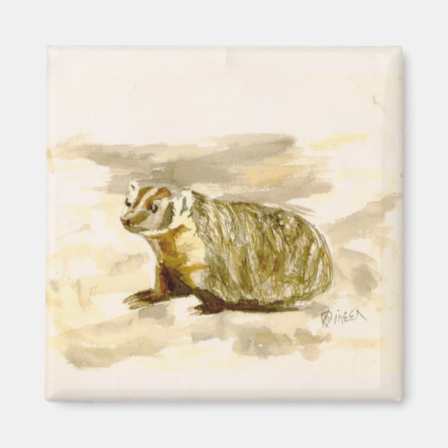 Badger Magnet (Devant)