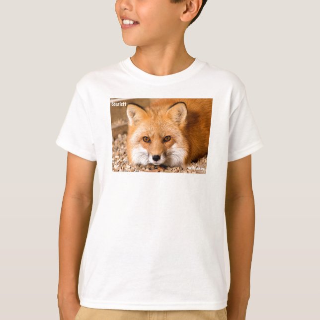 Badine le T-shirt comportant le Fox rouge (Devant)