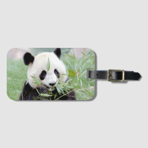 Bagage panda géant 2 . étiquette bagage