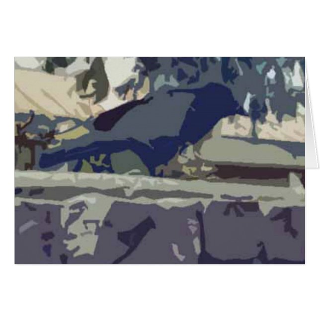 Bagheera la corneille (Devant horizontal)