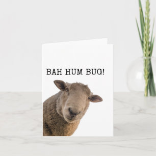 Bah Hum Bug, Drôle, Mignonne, Moutons, Carte de No