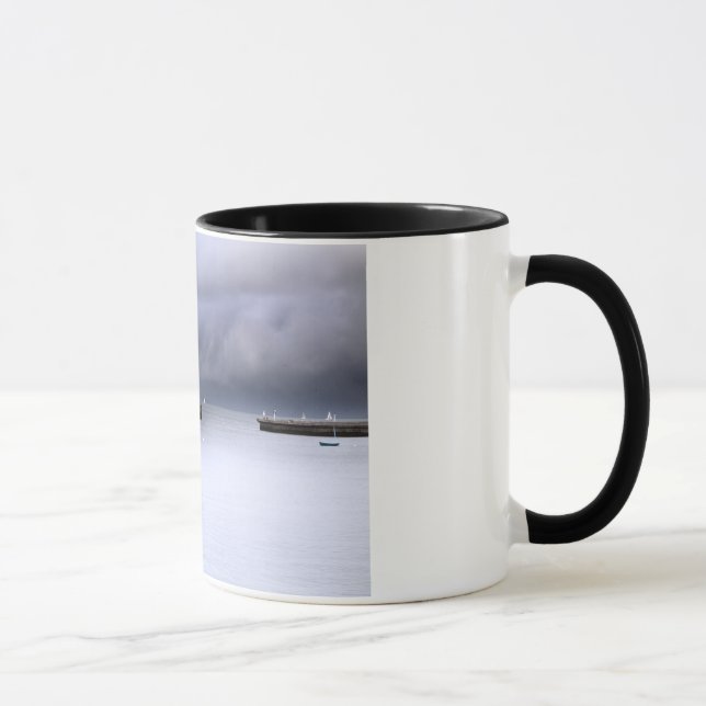 Baie de San Franciso de tasse (Droite)