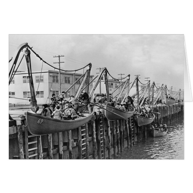Baie Sheepshead (Devant horizontal)