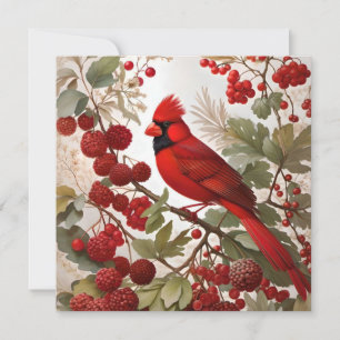 Baies rouges d'oiseaux du Cardinal Nord