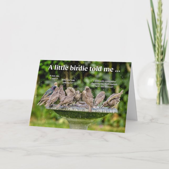 Baignade amusante Carte d'anniversaire (Devant)