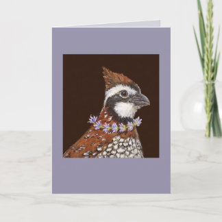 Bailey la carte bobwhite