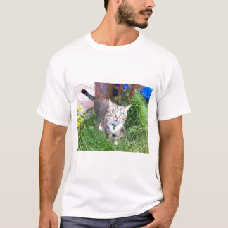 Bailey le t-shirt du chat