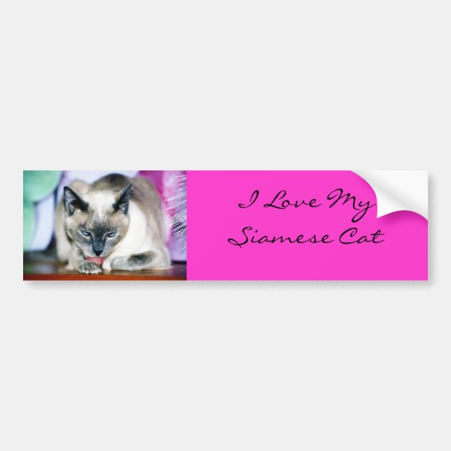Bain 4 Harmonie/J'Aime Mon Sticker Siamese Bumper (Devant)