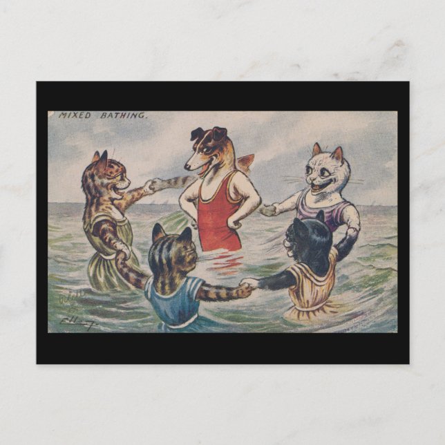 Bain Mixte - Carte Postale de Chien et Chats (Devant)