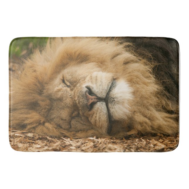 Bain Porte de Lion couchage, Bain, Tapis ou Mat (Devant)