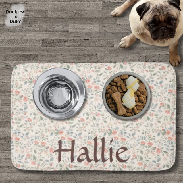 Bain Tapis de nourriture pour animaux de compagnie à mo (Shabby Chic Floral Pattern Pink Green Pet Food Mat)