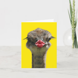 Baisers sauvages - Autruche - Obtenez une carte de