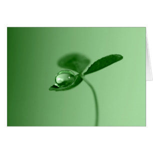 Baisse de rosée de matin