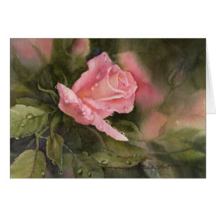 Baisses de pluie sur des roses