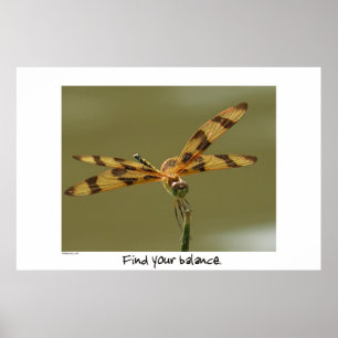 Balance Poster libellule Imprimer