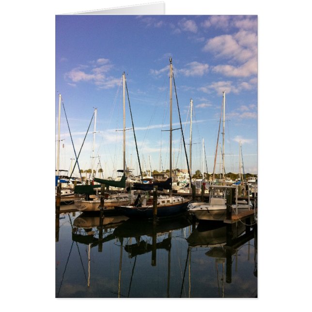 Balbuzard pêcheur au Masthead (Devant)