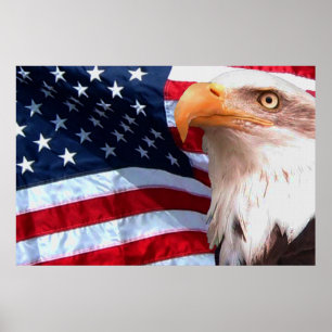 Bald Eagle 4 juillet affiche 8