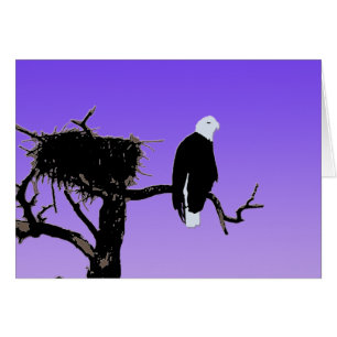 Bald Eagle at Sunset - Art original de la faune