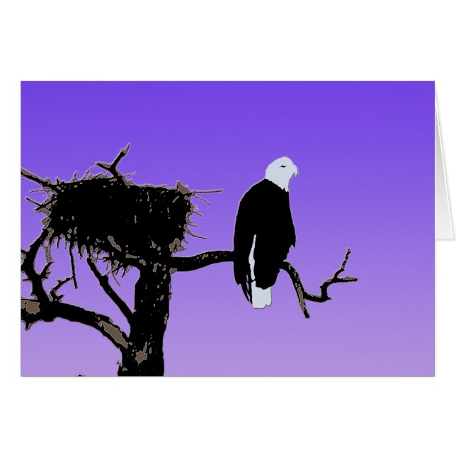 Bald Eagle at Sunset - Art original de la faune (Devant horizontal)