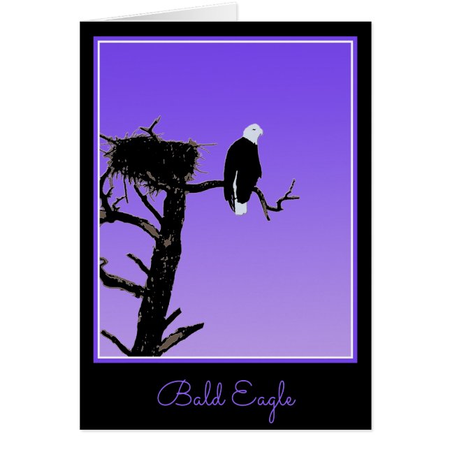 Bald Eagle at Sunset - Art original de la faune (Devant)