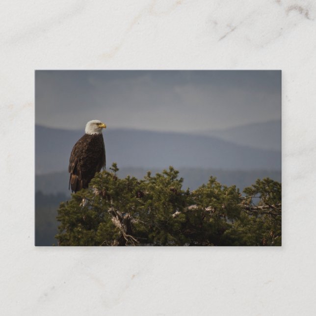 Bald Eagle - Carte de visite (Devant)