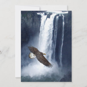Bald Eagle & Cascades Cartes d'invitation