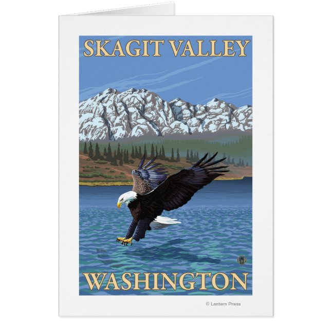 Bald Eagle Diving - Skagit Valley, Washington (Devant)