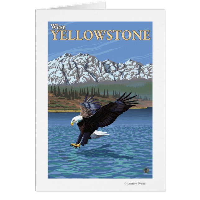 Bald Eagle Diving - West Yellowstone, MT (Devant)