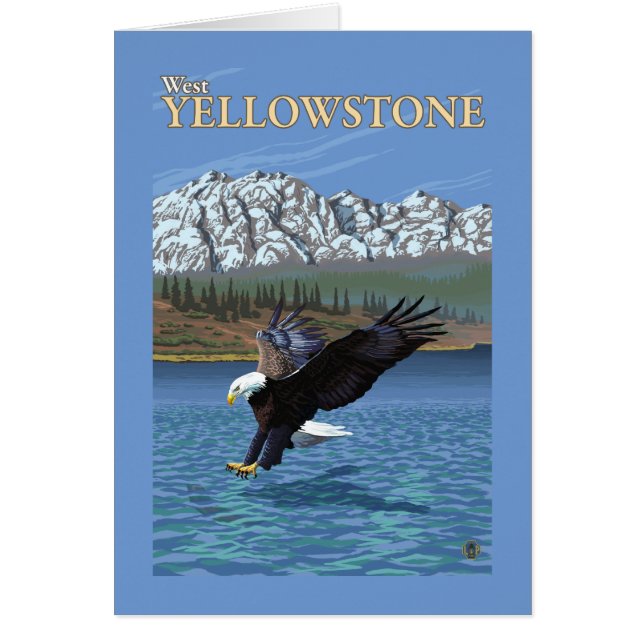 Bald Eagle Diving - West Yellowstone, MT (Devant)