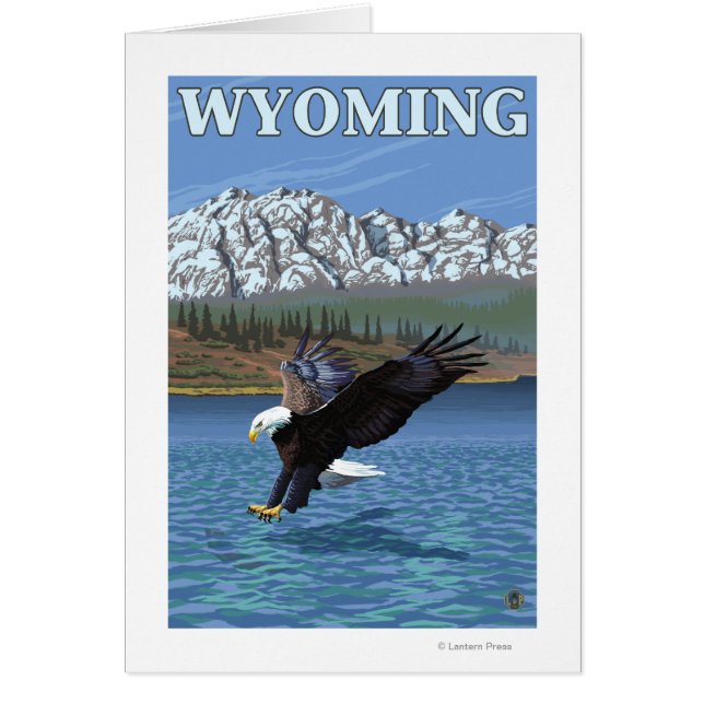 Bald Eagle Diving - Wyoming (Devant)