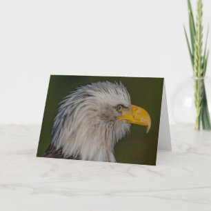 Bald Eagle Portait Carte de remerciements