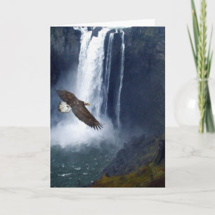 Bald Eagle & Snoqualmie Falls Cartes de voeux