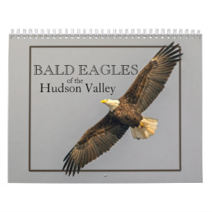 Bald Eagles du calendrier de la vallée de l'Hudso