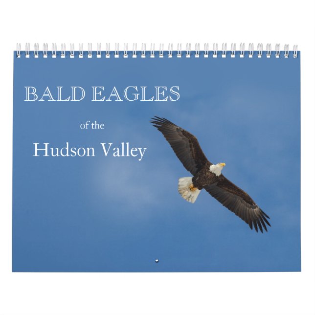 Bald Eagles du calendrier de la vallée de l'Hudson (Protection)