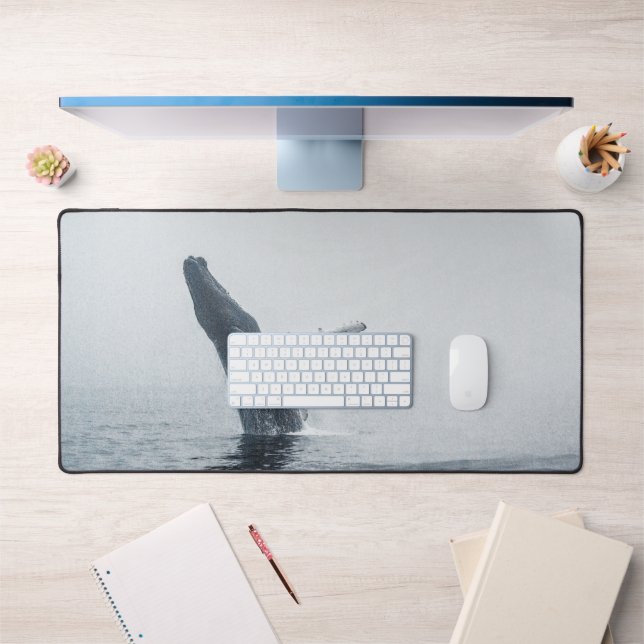 Baleine à bosse (Bureau 1)