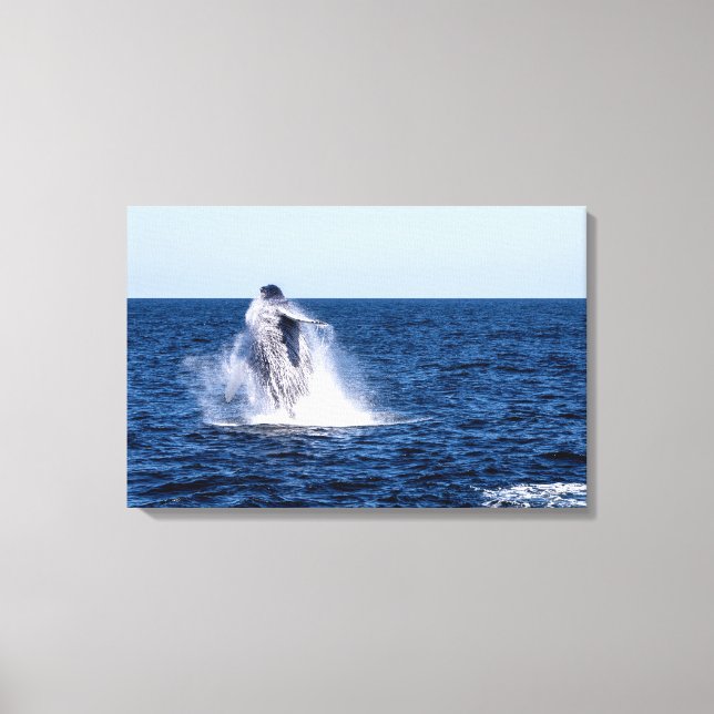 Baleine à bosse toile étirée Imprimer (Recto)