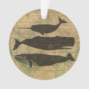 Baleine antique Vie marine