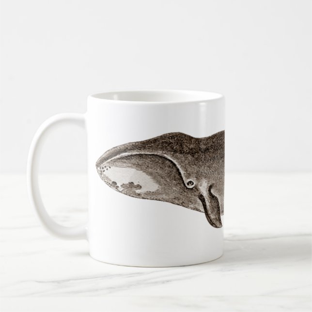 Baleine d'une tasse 3 (Gauche)