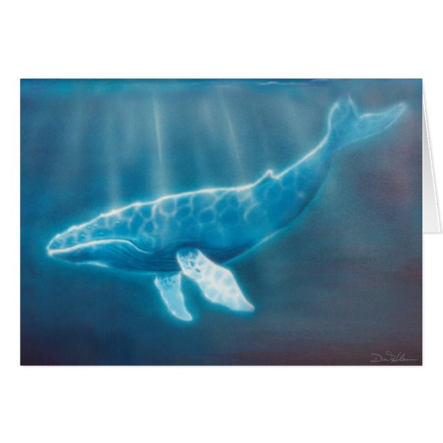 Baleine en dessous (Devant horizontal)