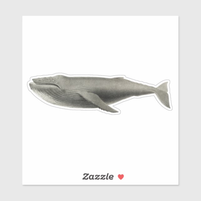BALEINE vintage STICKER TRANSPARENT (Feuille)