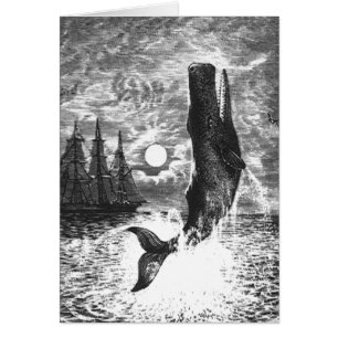 Baleine vintage, Vie Marine Animaux