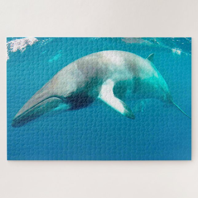 Baleines de Minke en puzzle (Horizontal)