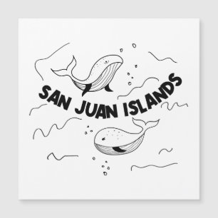 Baleines des îles San Juan