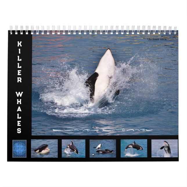 Baleines tueuses calendrier 12 mois (Protection)
