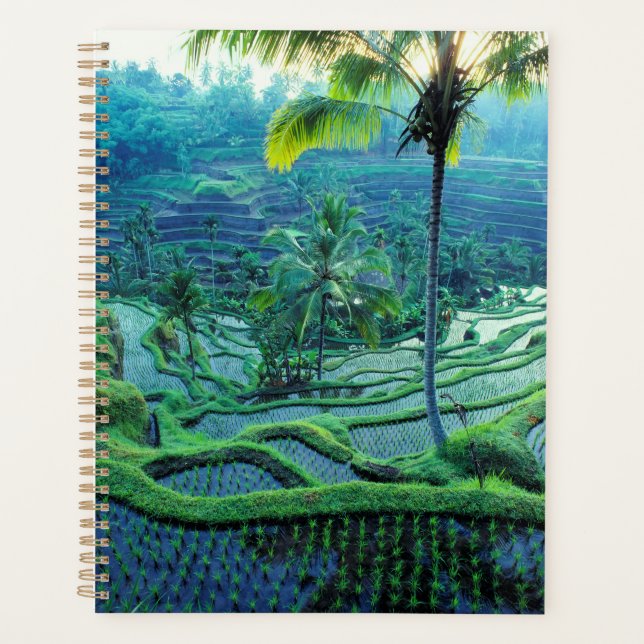 Bali | Vue d'ensemble des rizières (Devant)