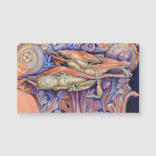 Balise de lecture Spike and Curly