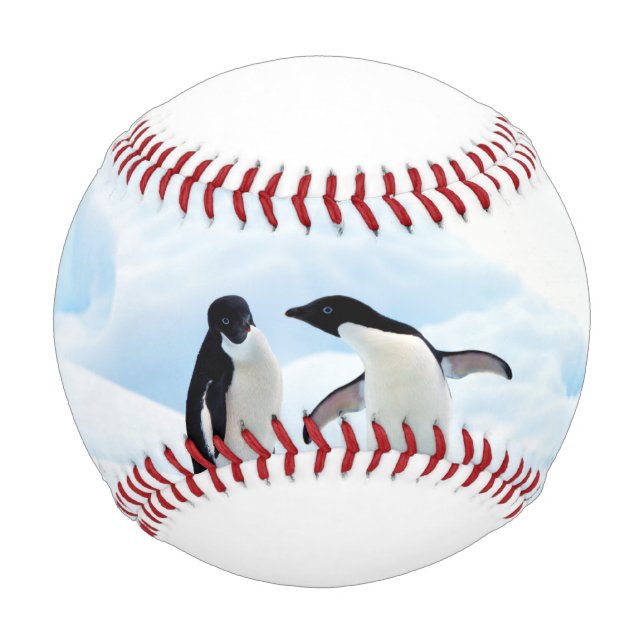 Balle De Baseball Adelie Penguins (Devant)